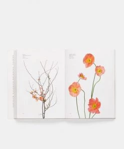 HausOfRex Flower Color Guide