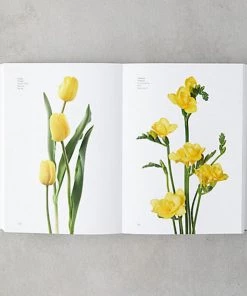 HausOfRex Flower Color Guide