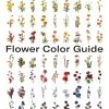 HausOfRex Flower Color Guide