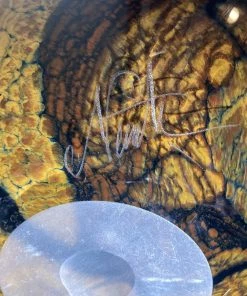 HausOfRex Art Tall Bowl Glass Orange And Black Signed