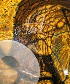 HausOfRex Art Tall Bowl Glass Orange And Black Signed