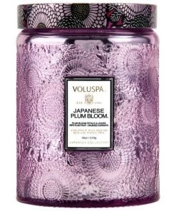 Voluspa JAPANESE PLUM BLOOM Large Jar Candle