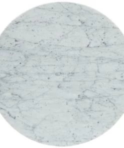 HausOfRex Living Tulip 20