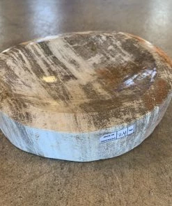 HausOfRex Looking Playing Loving Petrified Wood Bowl-Ashtray