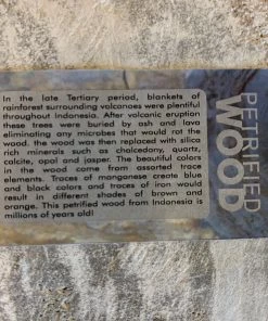 HausOfRex Looking Playing Loving Petrified Wood Bowl-Ashtray