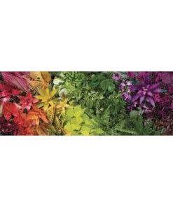 HausOfRex Plant Life Panoramic Puzzle Looking Playing Loving